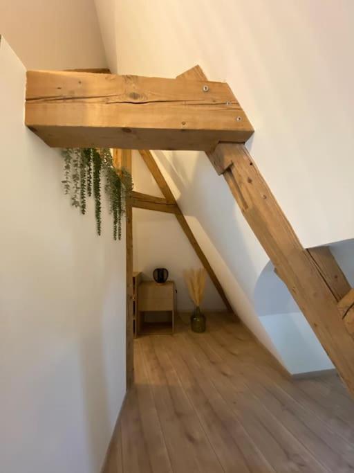Les Toits D'Austerlitz Apartamento Estrasburgo Exterior foto